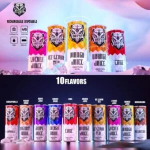 VAPECAN BRYST 11000