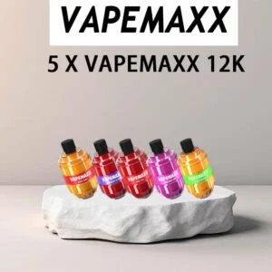 VAPEMAXX 12K 12000 BUNDLE