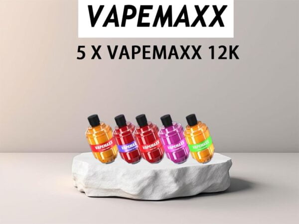 VAPEMAXX 12K 12000 BUNDLE