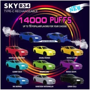SKY R34 14000 , NISSAN SKYLINE GTR 34